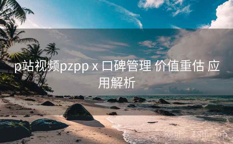 p站视频pzpp x 口碑管理 价值重估 应用解析 第2张 p站视频pzpp x 口碑管理 价值重估 应用解析 第2张